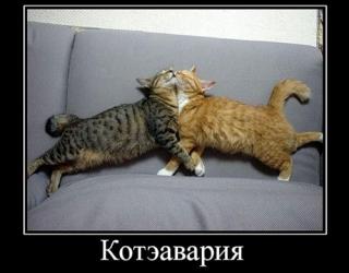 Котэавария
