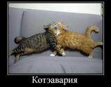 Котэавария
