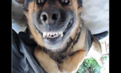 Незабываемая улыбка