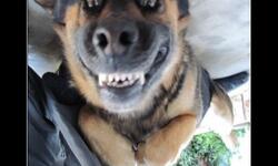 Незабываемая улыбка