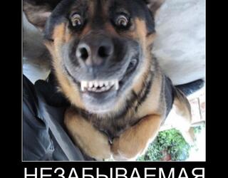 Незабываемая улыбка