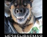 Незабываемая улыбка