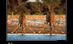 Утро понедельника