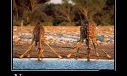 Утро понедельника