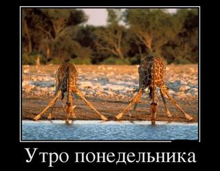 Утро понедельника