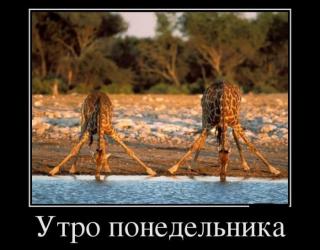 Утро понедельника