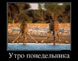 Утро понедельника