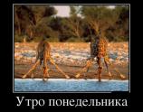 Утро понедельника