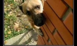 А воры уже ушли?