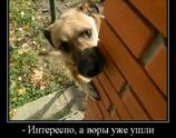 А воры уже ушли?