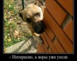 А воры уже ушли?