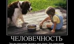 Человечность