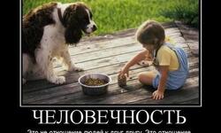 Человечность