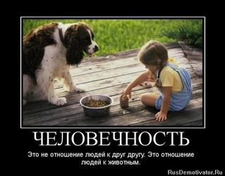 Человечность