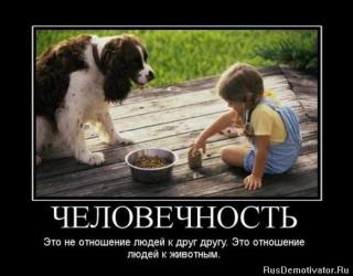 Человечность