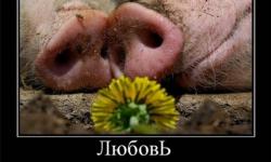 Любовь самое чистое чувство