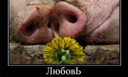 Любовь самое чистое чувство