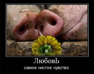 Любовь самое чистое чувство