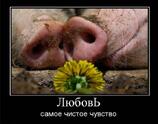 Любовь самое чистое чувство