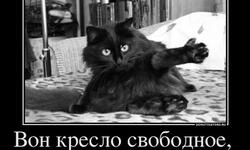 Вон кресло свободное там и спи