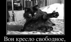 Вон кресло свободное там и спи