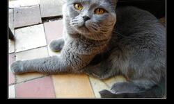 Нельзя убивать незнакомцев