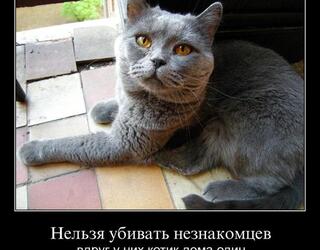 Нельзя убивать незнакомцев