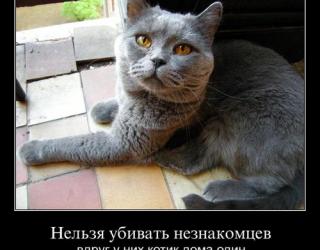 Нельзя убивать незнакомцев