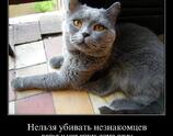Нельзя убивать незнакомцев