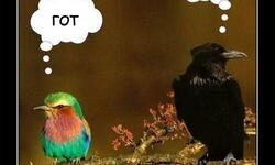 Предрассудки