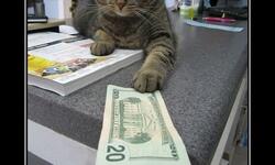 И забудем об этом