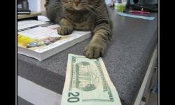 И забудем об этом