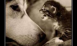 Иногда лучше помолчать