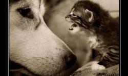 Иногда лучше помолчать