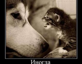 Иногда лучше помолчать