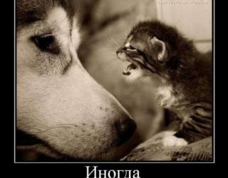 Иногда лучше помолчать