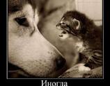 Иногда лучше помолчать