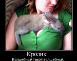 Волшебный кролик