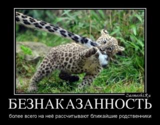 Безнаказанность