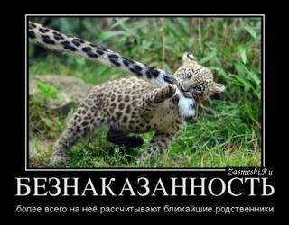 Безнаказанность