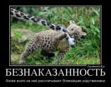Безнаказанность