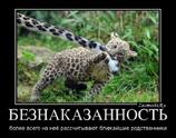 Безнаказанность