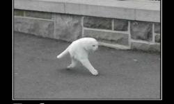 Грибной сезон открыт